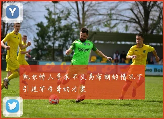 凯尔特人寻求不交易布朗的情况下引进字母哥的方案